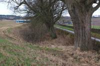 The Forthar Lime Works branch (between the former stations at Falkland Road and Kingskettle) ran along the cutting parallel to the road on the right and curved underneath it in the foreground. [See image 45855]<br><br>[Bill Roberton 05/12/2013]