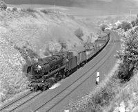 Less than nine months away from the end of steam at Ottbergen shed near Hameln (of <I>pied-piper</I> fame), but heavy 2-10-0 No. 044 599 is still in sparkling condition as it heads a short Saturday afternoon freight towards Altenbeken / Paderborn, seen here to the west of Ottbergen in September 1975.<br><br>[Bill Jamieson 13/09/1975]