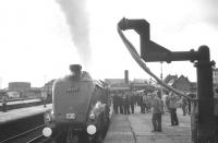 A4 Pacific no 60019 <I>Bittern</I> calls at Stirling on 3 September 1966 with the BR Scottish Region <I>A4 Farewell Tour</I> from Glasgow Buchanan Street to Aberdeen.<br><br>[K A Gray 03/09/1966]