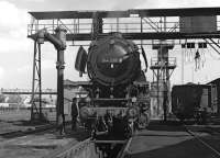 Although it's a Saturday afternoon, freight activity has not quite ceased at Ottbergen for the rest of the weekend and 044 599 is being prepared to take a westbound freight out of the yard.<br><br>[Bill Jamieson 13/09/1975]