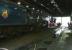 View through the running shed at Grosmont on 6 June 2013. Locomotives receiving attention on this occasion are A4 60007 <I>Sir Nigel Gresley</I> and Lambton Tank no 29.<br><br>[John Furnevel 06/06/2013]