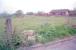 Looking west over the station site at Avonbridge in 1997. The gatepost was the only surviving reminder of the railway at the time, but even that has now gone.<br><br>[Ewan Crawford 03/05/1997]
