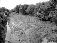 The site of Birkhill Station being cleared in August 1986. [Ref Query 11972] [See image 16125]<br><br>[Bill Roberton /08/1986]