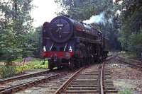 Britannia Pacific No 70013 <I>Oliver Cromwell</I> simmers in the leafy setting of Bressingham Steam Museum and Gardens in August 1978. The engine was in a kind of limbo, isolated from the national network and, as seen here, steamed just to provide brief cab rides for visitors. After becoming a purely static exhibit a few years later, it was eventually restored to working order by the Great Central Railway and started hauling trains on the network again in 2008.<br><br>[Mark Dufton 20/08/1978]