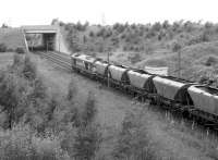 EWS 60053 heads north out of Millerhill yard with coal empties in September 1999.<br><br>[John Furnevel 25/09/1999]