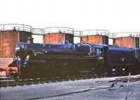 Looking smart after a recent visit to the paint shop, Standard class 5 4-6-0 no 73099, photographed on Eastfield shed in July 1961.  <br><br>[John Robin /07/1961]