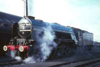 A2 60532 <I>Blue Peter</I> at Kingmoor on 8 October 1966. The Pacific had worked into Carlisle on the BR (Scottish Region) <I>Blue Peter Excursion</I> from Edinburgh via Hawick. <br><br>[G W Robin 08/10/1966]