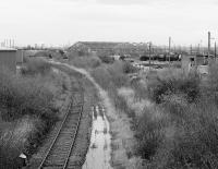 Looking towards Fouldubs Junction along the disused Orchardhall branch in November 1987. The yard throat of Grangemouth shed is in the right background.<br><br>[Bill Roberton 21/11/1987]