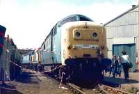 55016 <I>Gordon Highlander</I> at Doncaster on 28 July 1984. 20050 is standing immediately behind the Deltic.<br><br>[Colin Alexander 28/07/1984]