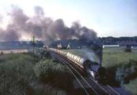 Black 5 no 44901 struggles up the bank after passing through Carluke with a freight on 16 July 1965.<br><br>[John Robin 16/07/1965]