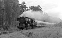 In 2014 standard-gauge steam hangs on at Wolsztyn in western Poland but freight workings like this no longer feature. On 23rd May 1994 <I>Kriegslok</I> Ty2-1086 (built as DR 52.5123) works a block train of loaded cement wagons on the final leg of its journey to the precast concrete works at Powodowo. <br><br>[Bill Jamieson 23/05/1994]