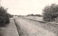 The disused platforms at Woodford Halse, but looking which direction? Photograph by Tony Harden in 1979.<br><br>[Ewan Crawford Collection //1979]