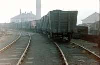 A rake of NCB wagons in the sidings at Ashington in 1982. Some of the ex-BR class 14 diesel locomotives working in and around the Ashington complex at that time can be seen in the shed yard on the right. [See image 21742]<br><br>[Colin Alexander //1982]