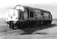 37692 <I>The Lass O' Ballochmyle</I> in BR Coal Sector livery on the east side of Millerhill yard in June 1998. [Ref query 5091]<br><br>[John Furnevel 30/06/1998]