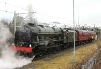 On the <I>back road</I> at Carnforth, behind the Barrow line platform, 46115 <I>Scots Guardsman</I> and support coach have reversed off the shed and are waiting for the northbound <I>Cumbrian Mountain Express</I> to be handed over. <br><br>[Mark Bartlett 01/03/2014]