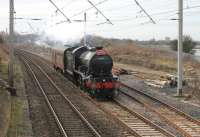 K4 2-6-0 61994 <I>The Great Marquess</I> passing through Hest Bank on a trip from Crewe Heritage Centre to the Worth Valley on 5 March (via Carnforth and the Little North Western route to Settle Junction). <br><br>[Mark Bartlett 05/03/2014]