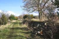 The trackbed through the staggered platforms at Carham, now a pleasant walkway. View back towards Kelso in March 2014.<br><br>[Bruce McCartney 03/03/2014]