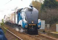 LNER A4 no 4464 <I>Bittern</I> heads north through Leyland on 15 March with the <I>Cumbrian Ranger</I> tour from Tyseley to Carlisle. The A4 had taken over from 47773 at Crewe and should have worked through to Carlisle but due to reported gauging issues the tour was diesel hauled from Carnforth. [See image 46651]<br><br>[John McIntyre 15/03/2014]