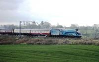 4464 <I>Bittern</I> heads north at Bay Horse with a Tyseley to Carlisle special on 15th March. Unfortunately the train was running under caution signals here due to a preceding freight and the A4's regulator was closed as it passed the assembled photographers at a very sedate pace.<br><br>[Mark Bartlett 15/03/2014]