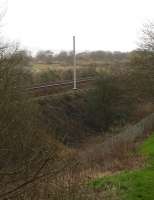 First signs of spring? Wild primroses and a solitary OHLE mast appear on the embankment near Baillieston in mid February. Electrification of the Whifflet line is due to be completed by the summer of 2014.<br><br>[Colin McDonald /02/2014]