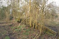 Deep in the countryside with nature taking over the remains of Longdon Road station on 4 March 2014. The station was on a line from Moreton-in-Marsh to Shipston on Stour although it had started life in 1826 as part of the Stratford Upon Avon to Moreton-in Marsh Tramway. The platform face is in very good condition considering the station closed to passengers in 1929.<br><br>[John McIntyre 04/03/2014]