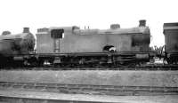 Q1 0-8-0 tank no 69934 in store alongside Frodingham shed, Scunthorpe, thought to have been photographed in 1959. Officially withdrawn from 36C in August that year the locomotive was cut up at Darlington Works the following month.<br><br>[K A Gray //1959]