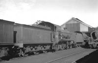 Withdrawn BR southern region steam locomotives in the sidings at Eastleigh on 25 September 1963. In the centre is K class 2-6-0 no 32353, withdrawn from Three Bridges shed at the end of 1962 and cut up in the nearby works here in December 1963. <br><br>[K A Gray 25/09/1963]