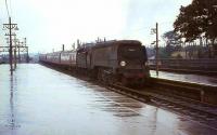 West Country Pacific no 34102 <I>Lapford</I> with a train at Basingstoke on a rainy day in August 1964.<br><br>[John Robin 24/08/1964]