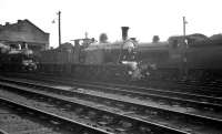 Caledonian single no 123 photographed on Dawsholm shed in September 1959. To the left is GNSR No 49 <I>Gordon Highlander</I> and on the right NB no 62496 <I>Glen Loy</I>.<br><br>[K A Gray /09/1959]