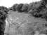 The site of Birkhill Station being cleared in August 1986. [Ref Query 11972] [See image 16125]<br><br>[Bill Roberton /08/1986]