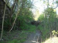 An April 2014 view from Blacker Lane towards the former exchange sidings at Calder Grove, with just a short section of rail still visible. Works involving the tipping of many hundreds of tons of soil are taking place to create grassland along the routes of the old coal staith and exchange siding lines from the former British Oak Opencast Disposal point. [See image 28145 for the scene twenty two years earlier]. <br><br>[David Pesterfield 18/04/2014]