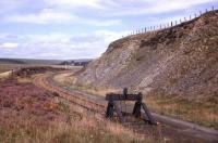 The stub of the Border Counties line to Hexham survives as a headshunt just south of Riccarton Junction in September 1963, with the north end of the railway village just visible in the distance. The line had closed to passengers in 1956 and to freight in 1958.<br><br>[Frank Spaven Collection (Courtesy David Spaven) /09/1963]