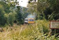 A strange buzzing noise in the undergrowth at Betws-y-Coed in early July 1997 as a Blaenau Ffestiniog - Llandudno DMU approaches the station.<br><br>[Colin McDonald /07/1997]