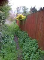 Modern property boundaries often indicate former land uses. This innocuous looking path along some Buckinghamshire garden fences - which curves right as the trackbed to High Wycombe curves left - follows a former branch into the Soho paper mills - one of several paper mills in this valley.<br><br>[Ken Strachan 26/04/2014]