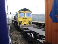 Freightliner 66532 waits at signals on the up through road in Swindon station with an Intermodal service on 2 August 2013 as the 10.28 ex-Swansea starts out on the final leg of its journey to London Paddington.<br><br>[David Pesterfield 02/08/2013]