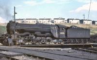 A3 Pacific no 60076 <I>Galopin</I>, a visitor from Gateshead, is in the process of being turned at Eastfield shed on a summer afternoon in 1961.<br><br>[John Robin /07/1961]