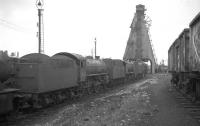 Part of the crowded shed yard at Doncaster on a Sunday afternoon in May 1966 looking towards the coaling plant. <br><br>[K A Gray 22/05/1966]