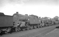 A lineup of redundant steam locomotives in the sidings at Eastleigh in September 1963, featuring Urie class H16 4-6-2T no 30520, withdrawn from Feltham the previous November and cut up in the nearby works a month after the photograph was taken. [See image 41498]<br><br>[K A Gray 25/09/1963]