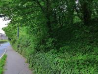 Looking north towards Newbattle Viaduct on 27 May.  In the woods to the right is the embankment that carried the original Edinburgh and Dalkeith Railway extension - the Marquis of Lothian's Waggonway.<br><br>[Bill Roberton 27/05/2014]