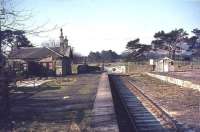 Platform view at Coulter station looking west towards Symington in the spring of 1966. On the other side of the road beyond the crossing gate is the bridge over the Clyde, with Tinto Hill visible through the trees on the right. [See image 6450]<br><br>[John Robin 25/03/1966]