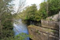 The remains of the bridge that carried the Border Counties Railway over the River Rede just under a quarter of a mile north west of Reedsmouth station. Photographed on 20 May looking west from the adjacent road bridge. This section of the Border Counties line closed in 1963. [Ref query 6399]<br><br>[Peter Todd 20/05/2014]