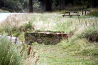 This, according to local notice, is the remains of the 'dock' on the opposite (south) bank for the ferry from Abbotsford Ferry [see image 37535]. Abbotsford itself is off camera to the right. <br><br>[Colin Miller 16/09/2013]