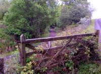 Laid out like a scenic path, at least as much as a railway - looking towards Alston on 22 May 2014 from a point just South of Lambley station.<br><br>[Ken Strachan 22/05/2014]