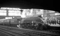 A4 60031 <I>Golden Plover</I> with the SLS/BLS <I>Scottish Rambler No 4</I> at Carlisle on 18 April 1965. The special, which had originated from Glasgow Queen Street, had travelled via Edinburgh and Hawick and would return north to Glasgow Central via the West Coast Main Line.<br><br>[K A Gray 18/04/1965]