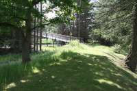 The footbridge that now spans the Tweed between Cardrona and Innerleithen, seen from the trackbed of the Peebles Railway looking towards Galashiels in June 2014. The long demolished railway bridge stood slightly further south beyond the trees. [See image 47747]<br><br>[John Furnevel 18/06/2014]