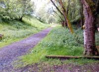 Looking North towards Haltwhistle from the car park for visitors to Lambley viaduct. The car park is built on and adjacent to the branch trackbed.<br><br>[Ken Strachan 22/05/2014]