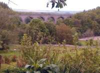 Viewed over the gardens of the cottages near Lambley station, the viaduct looks more like a garden railway structure than its larger-than-life true form [see image 46590].<br><br>[Ken Strachan 22/05/2014]