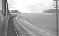 View from a window of the RCTS <I>Borders Railtour</I> near St Boswells on 9 July 1961 behind ex-NBR no 256 <i>Glen Douglas</i> and J37 no 64624. [See image 31691] [Ref query 6405]<br><br>[K A Gray 09/07/1961]