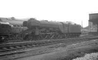 60061 <I>Pretty Polly</I> stands in the shed yard at Gateshead in 1962, surrounded by EE type 3 and 4 diesel locomotives. The A3 was withdrawn from Grantham on 8 September the following year and cut up at Doncaster works later the same month. <br><br>[K A Gray //1962]