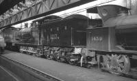 Scene inside Hellifield shed in 1963 during the time it was being used for the storage and renovation of locomotives for the national collection. The collection was eventually given a permanent home at the NRM in York, which opened in 1975. Amongst the residents are Holden GE 0-6-0 no 1217 (BR class J17 no 65567) and Ramsbottom LNWR 0-4-0ST no 1439.<br><br>[K A Gray 13/02/1965]